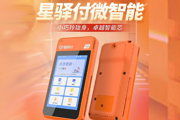 皮山国通微电签POS机